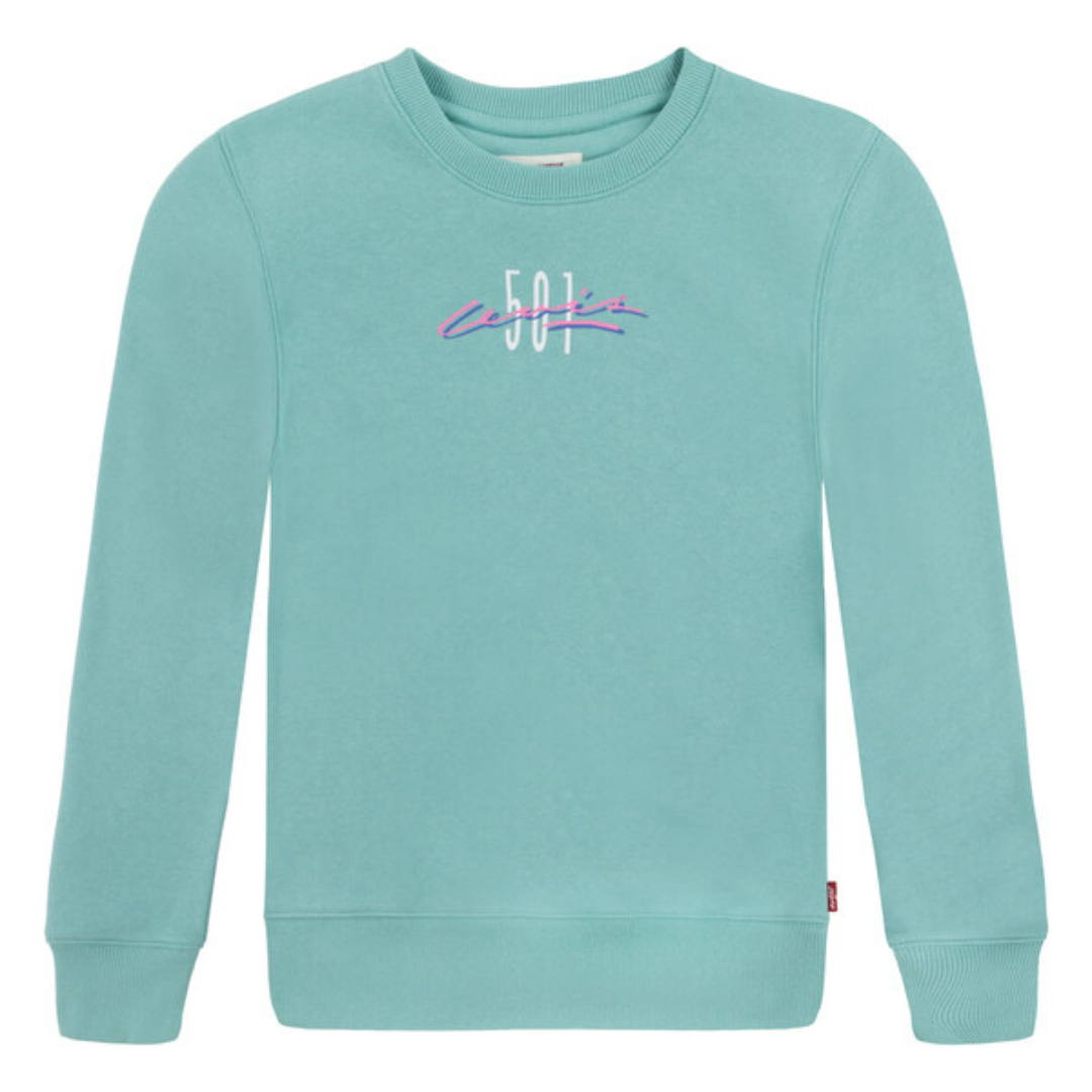 Sweat | Vert d'eau-Levi's-Super Châtaigne-Sweats, Pulls & Gilets : Product type