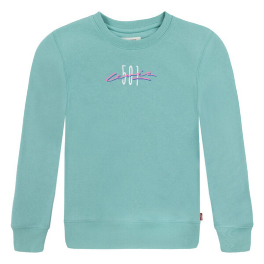Sweat | Vert d'eau-Levi's-Super Châtaigne-Sweats, Pulls & Gilets : Product type