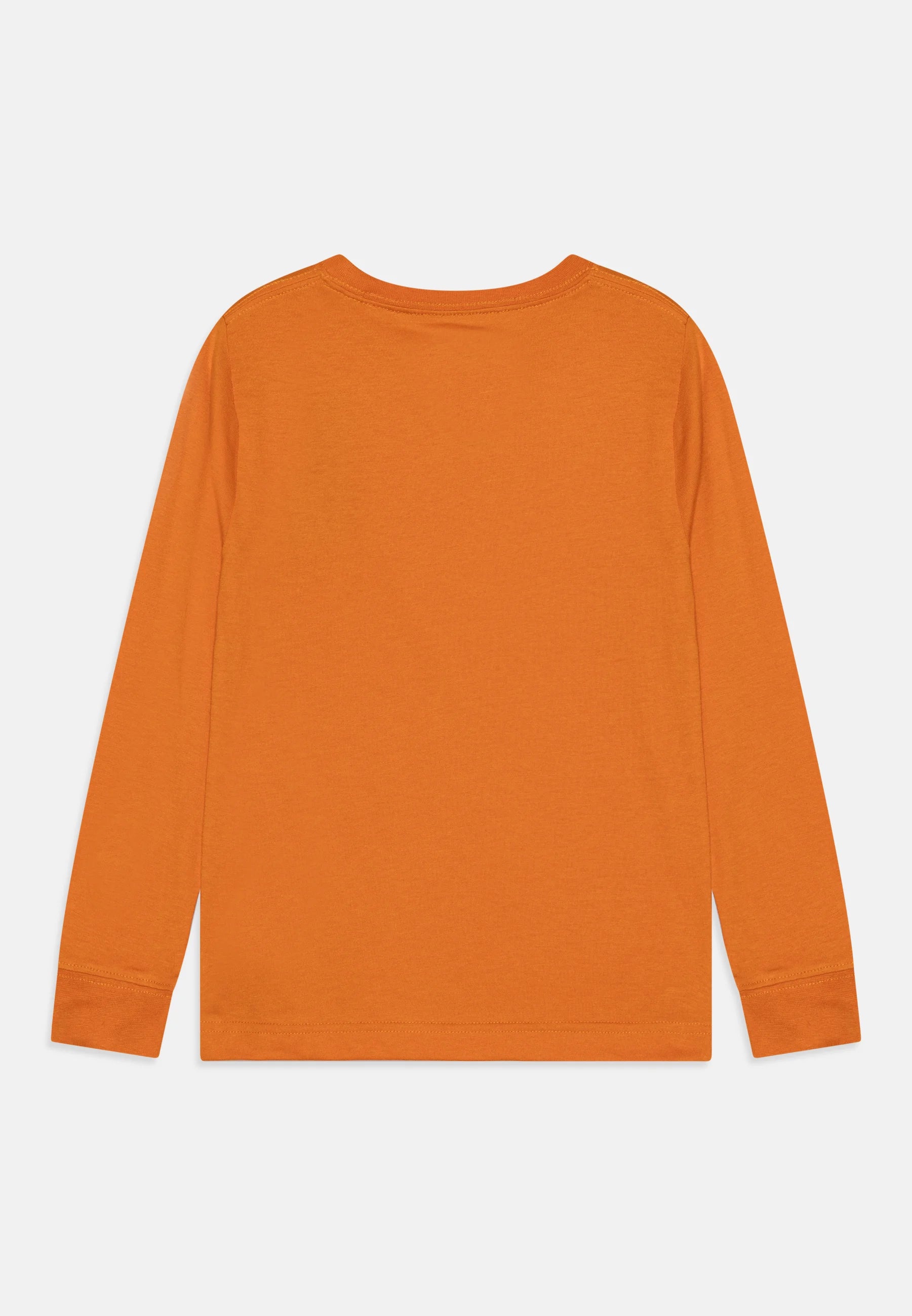 Tee-shirt manches longues | Desert sun-Levi's-Super Châtaigne-tee-shirt : Product type