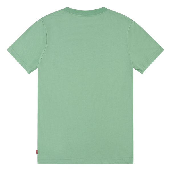 Tee-shirt | Vert clair-Levi's-Super Châtaigne-T-shirts & Débardeurs : Product type